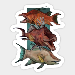 Hogfish Trio Sticker